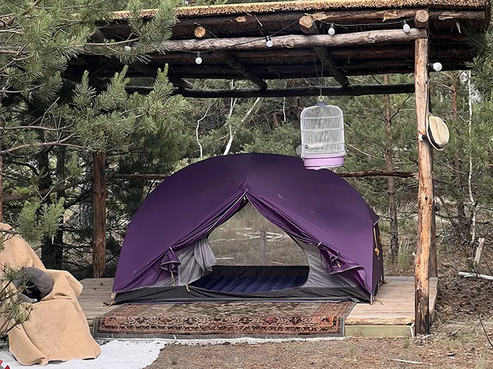 galaktion-2026-1_result