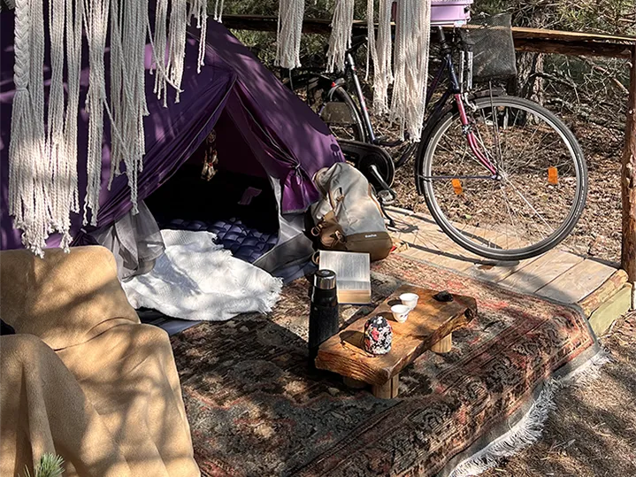 galaktion-2026-3_result